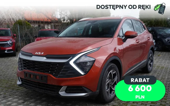 samochody osobowe Kia Sportage cena 125200 przebieg: 1, rok produkcji 2024 z Kamienna Góra